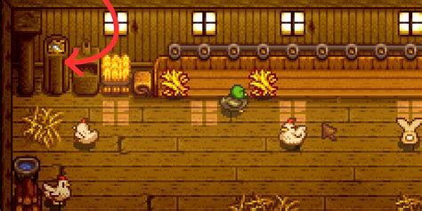 Incubator Stardew: 11 Tips and Tricks to Hatch Rare Eggs