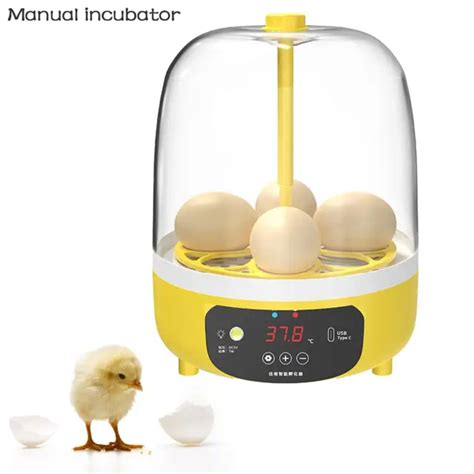 Incubator for Chickens: An Essential Guide for Raising Healthy Poultry