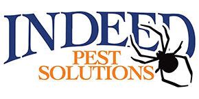 Indeed Pest Control: The Leading Provider of Comprehensive Pest Management Solutions