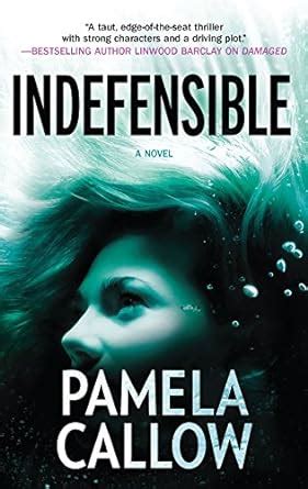 Indefensible A Kate Lange Novel Reader