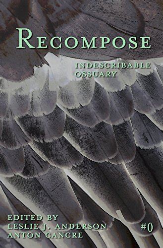 Indescribable Ossuary recompose Book 0 Reader