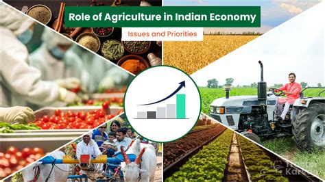 Indian Economic Policy and Agricultural Development PDF