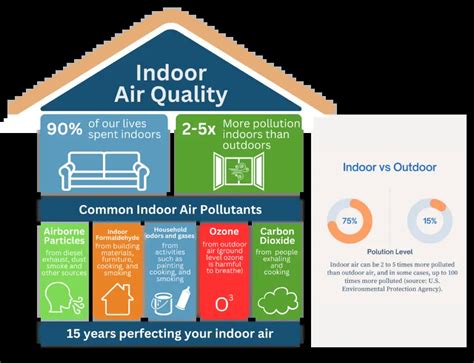 Indoor Air Quality and Allergies: A 2025 Showdown