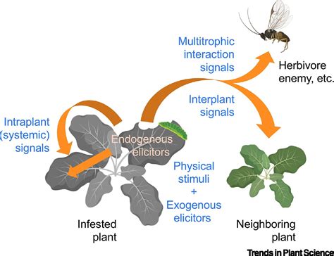 Induced Responses to Herbivory PDF