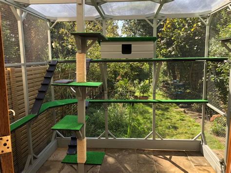 Indulge Your Cat in a Slice of Paradise with a Bespoke Catio