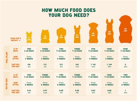 Indulge Your Furry Friend with A Pup Above Dog Food for Puppies: A Comprehensive Guide