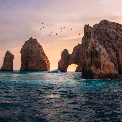 Indulge in Unforgettable getaways with Direct Flights from Seattle to Cabo San Lucas