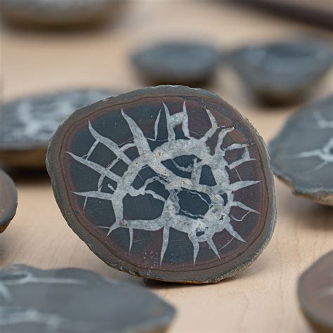 Indulge in the Enchanting World of Septarian Nodules with Our Unparalleled Collection