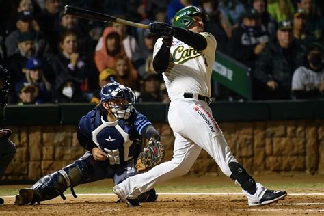 Indulge in the Thrill of Caribbean Baseball