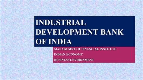 Industrial Development Bank of India An Analysis of Its Working Kindle Editon
