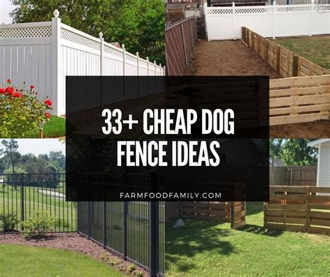 Inexpensive Fencing for Dogs: 7 Budget-Friendly Options for Every Yard