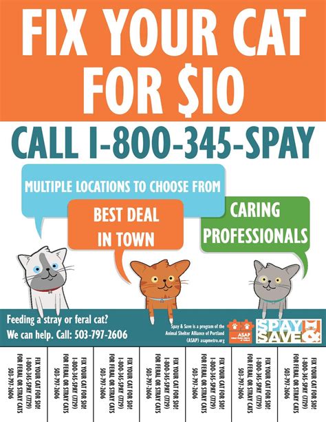 Inexpensive Spaying near Me: Your $200 Solution