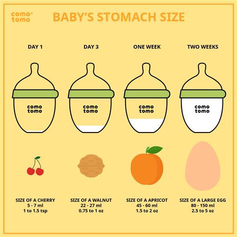 Infant Stomach Size Chart