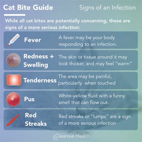 Infection from Cat Bite: A Looming Threat That Demands Attention