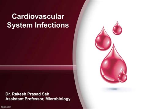 Infections and the Cardiovascular System Doc