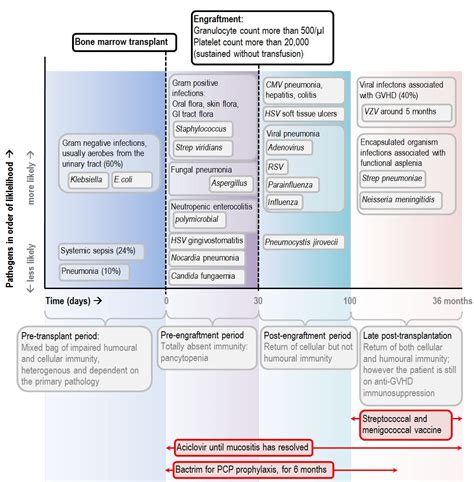 Infectious Complications in Bone Marrow Transplantation Epub