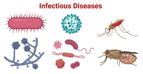 Infectious Diseases Kindle Editon