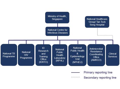 Infectious Diseases in Singapore: Prevention, Treatment, and Control