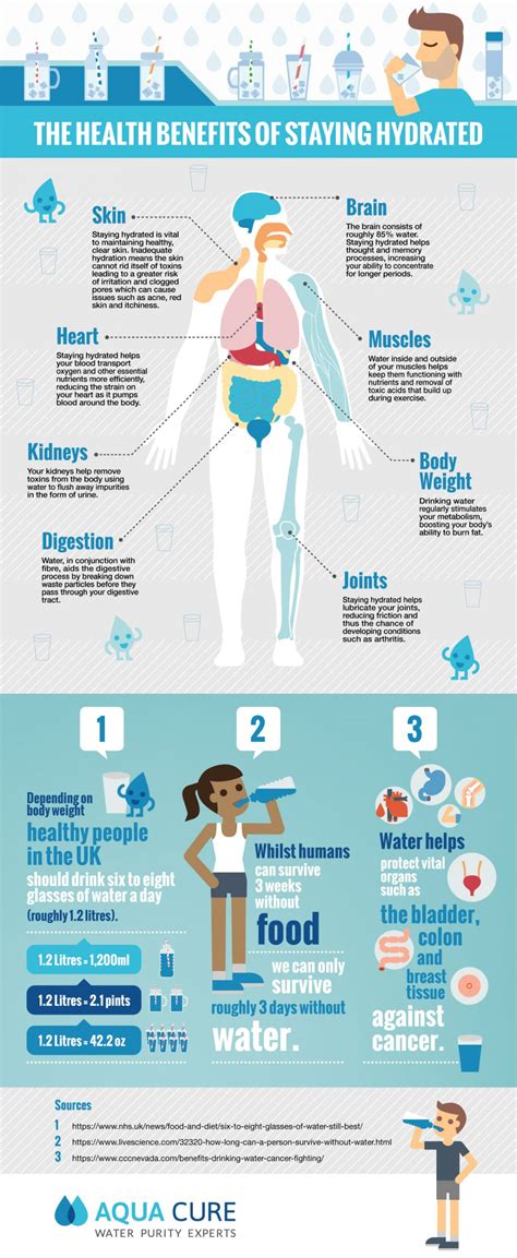 Infographic: The Importance of Staying Hydrated