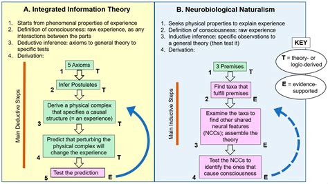 Information Theory Doc