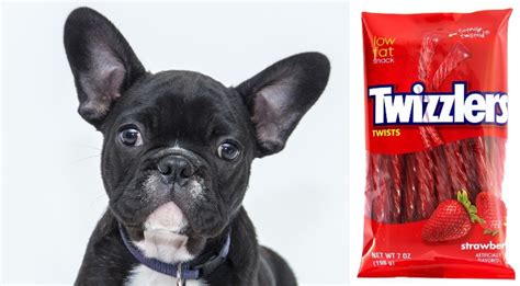 Ingredients in Twizzlers That Are Toxic to Dogs