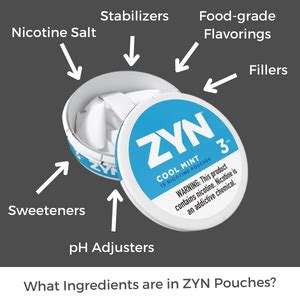 Ingredients in Zyn: A Detailed Analysis