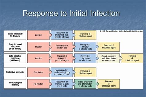 Initial Infection: