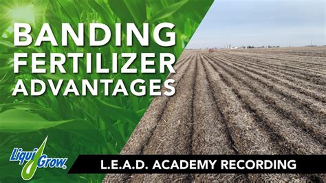 Innovative Applications for Fertilizer