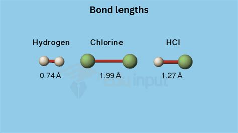 Input Bond Information