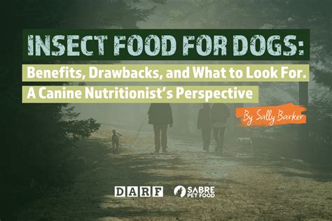 Insect Dog Food: Unlocking Human Health Benefits in 2025