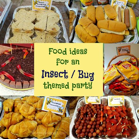 Insect Dog Food-Themed Parties and Events: A 2025 Vision