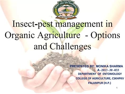 Insect Farming 2025: Challenges and Disease Management