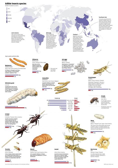 Insect Nutrition for Specific Breeds VS 2025