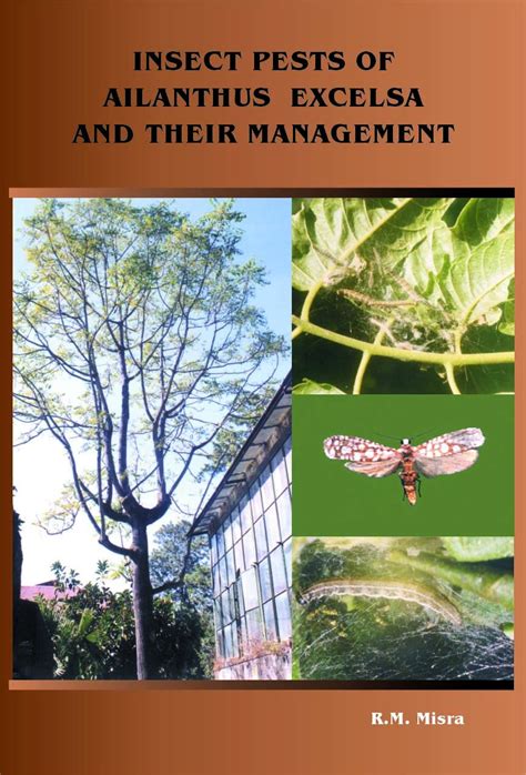 Insect Pests of Ailanthus Excelsa and Their Management 1st Edition Kindle Editon