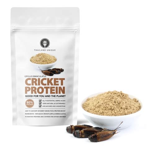 Insect Protein Powder for Pet Food 2025: The Ultimate Guide