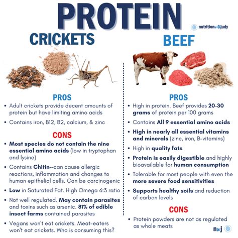 Insect Protein VS Traditional Protein Sources: A Nutritional Showdown