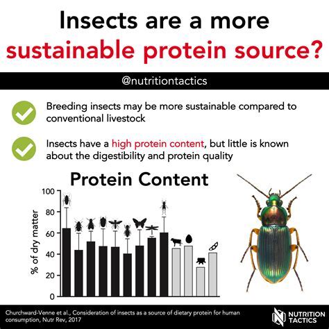 Insect Protein vs. Tissue Engineering: The Race to 2025