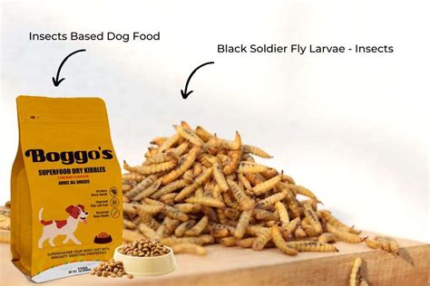 Insect dog food for allergies