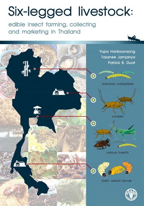 Insect farming challenges and marketing