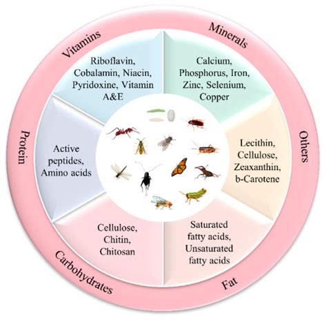 Insect nutrition for specific breeds