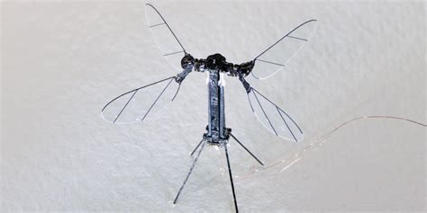 Insect-Powered Drones: