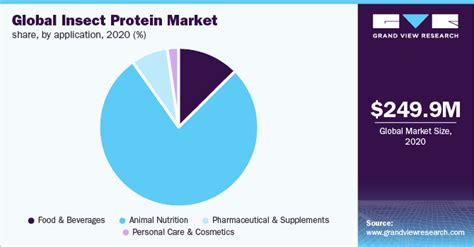 Insect-based Protein for Human Consumption: A 2025 Outlook