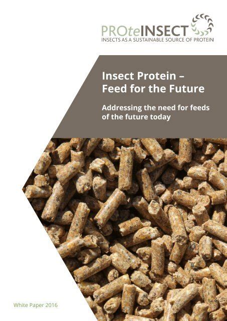 Insect-based feed for cosmetics