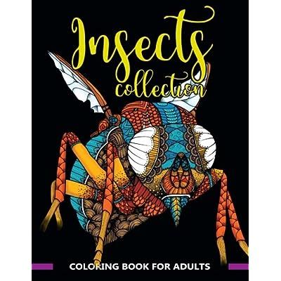 Insects Collection Coloring Book for Adults Stunning Coloring Patterns of Grubs DragonflyHornetCricketGrasshopperBeeSpiderAntMosquito and More insect coloring book Volume 1 PDF