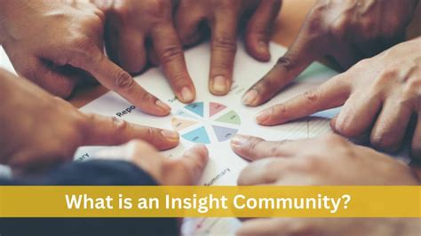 Insight The Community Volume 1 Kindle Editon