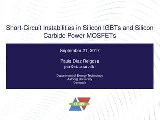 Instabilities in Silicon Devices PDF