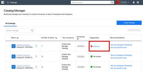 Instagram Does Not Appear In Diagnostics Facebook Catalog
