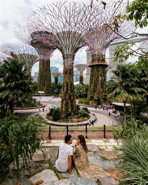 Instagrammable Havens: Uncover Singapore's Most Enchanting Photogenic Gems