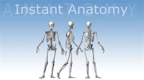 Instant Anatomy Kindle Editon