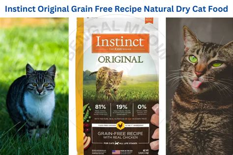 Instinct Cat Food: Unlocking a Natural and Nutritious Diet for Feline Companions